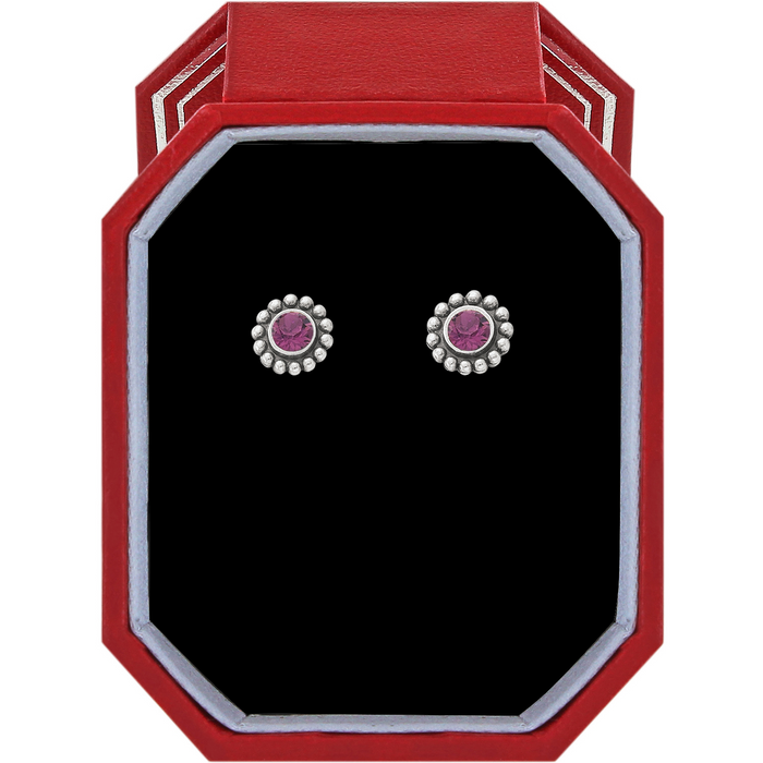 Twinkle Amethyst Mini Post Earrings in Gift Box--Lemons and Limes Boutique