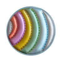 PopSocket - Stitched Grand Rainbow of Funk--Lemons and Limes Boutique