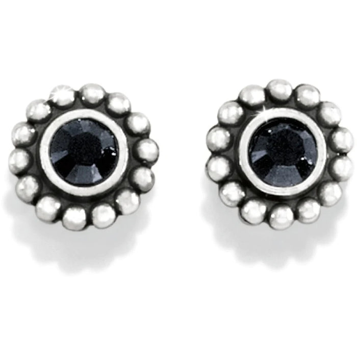 Silver/Black Twinkle Mini Post Earrings-Jewelry-Lemons and Limes Boutique