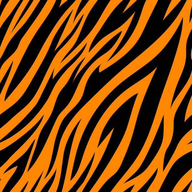 Tigers