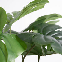 18K Gold PVD Stainless Steel White Heart Stud Earrings-Lemons and Limes Boutique