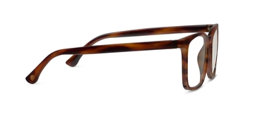 Bronco (Blue Light) Readers in Tortoise Horn by Peepers-Lemons and Limes Boutique