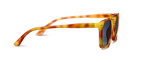 Palmer Reader Sunglasses in Amber Tortoise by Peepers-Lemons and Limes Boutique