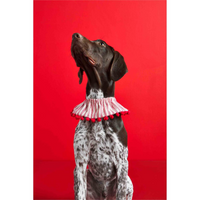 Holiday Ruffle Pet Collars--Lemons and Limes Boutique