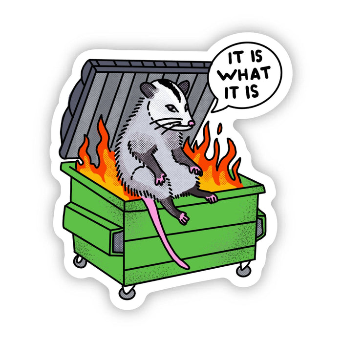 "It is what it is" Possum Dumpster Fire Sticker-Lemons and Limes Boutique