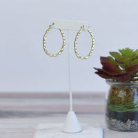 Dee Dee Hammered Hoop Earrings--Lemons and Limes Boutique