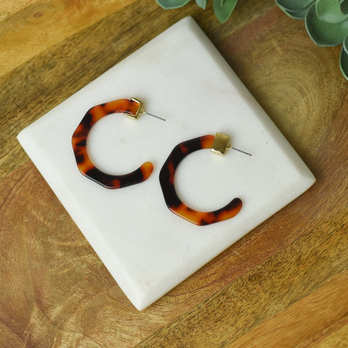 Laney Tortoise Hoop Earrings-Lemons and Limes Boutique
