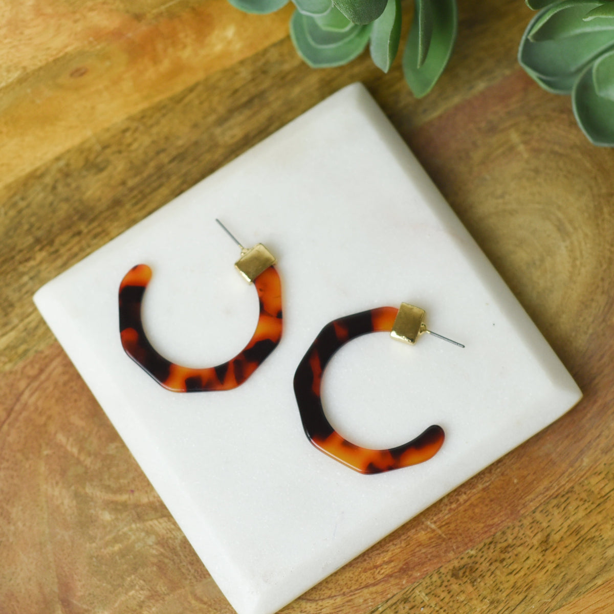 Laney Tortoise Hoop Earrings-Lemons and Limes Boutique