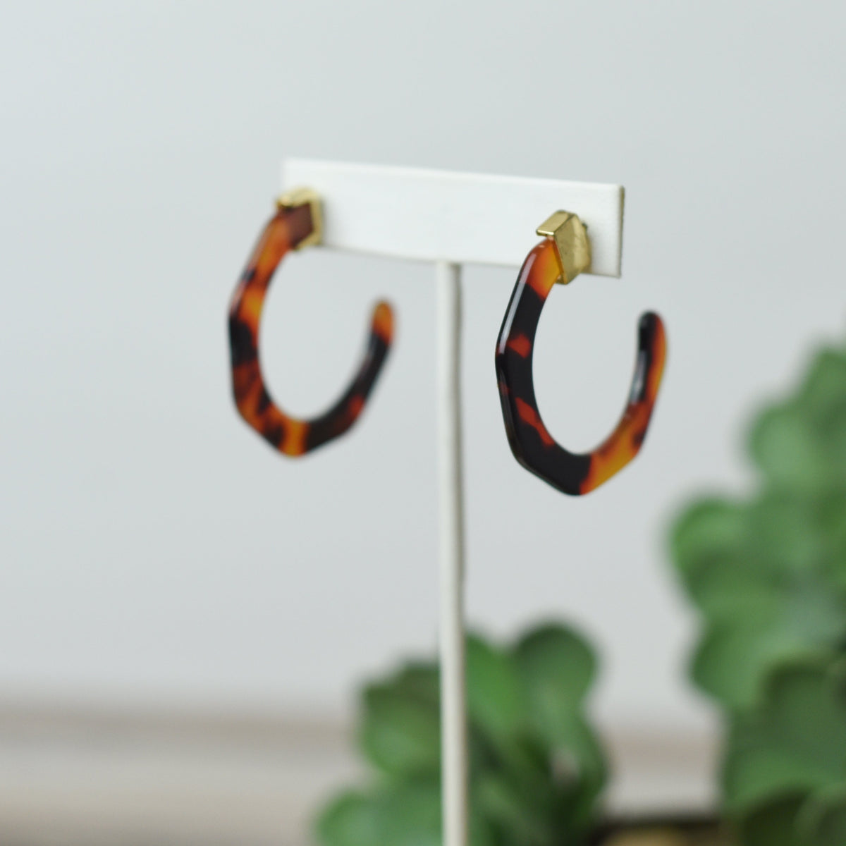 Laney Tortoise Hoop Earrings-Lemons and Limes Boutique