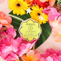 Coconut Verbena | Daisy Spongette-Body Wash Infused Buffer-Lemons and Limes Boutique