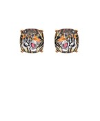 Tiger Square Epoxy Earrings