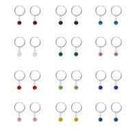 Stainless Steel Birthstone Huggie Earrings