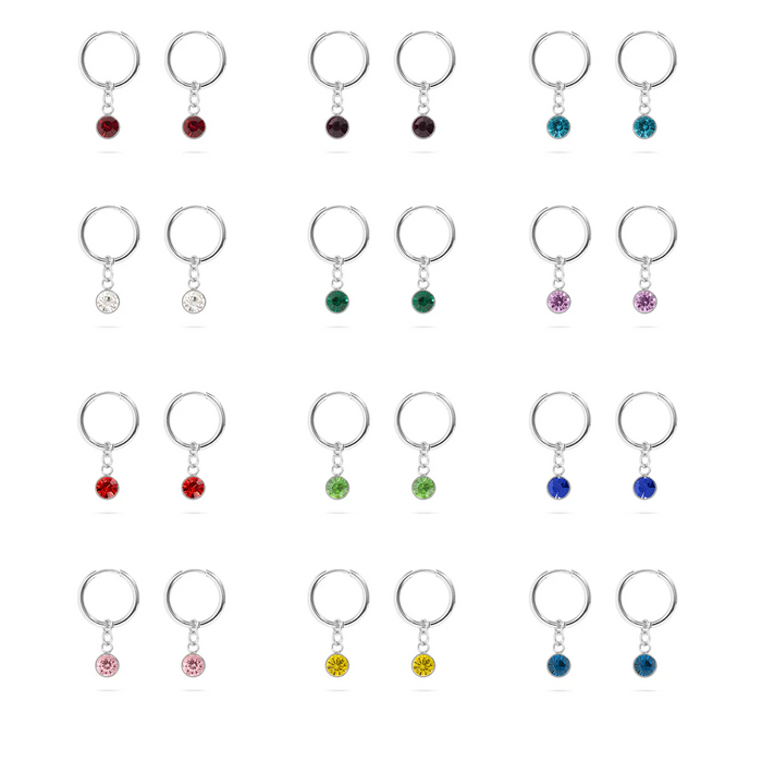 Stainless Steel Birthstone Huggie Earrings