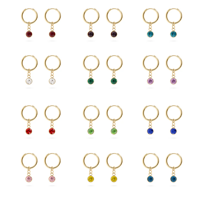 18K Gold PVD Birthstone Huggie Earrings