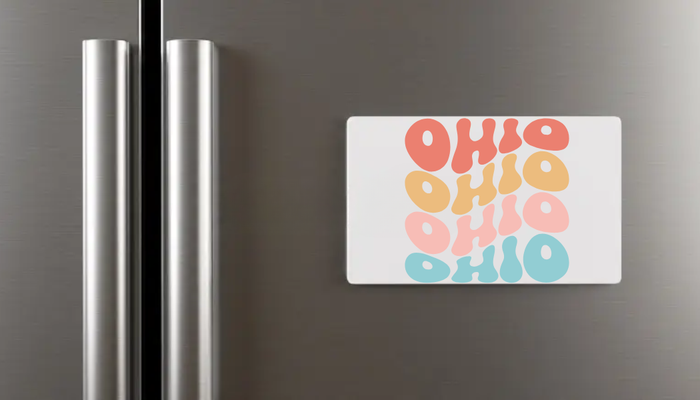 Ohio 4 Color Neoprene Magnet-Lemons and Limes Boutique