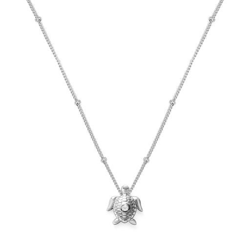 Charm & Chain necklace-Sea Turtle-Silver--Lemons and Limes Boutique