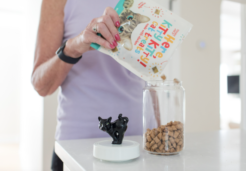 Scardy Cat-Lemons and Limes Boutique