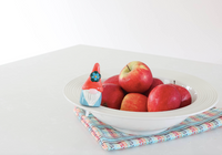 Oh Gnome You Didn't Mini by Nora Fleming-Lemons and Limes Boutique