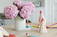 Best birthday ever mini by nora fleming-Mini-Lemons and Limes Boutique