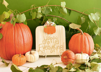 Harvest Pumpkin Big Attachment by Happy Everything-Lemons and Limes Boutique