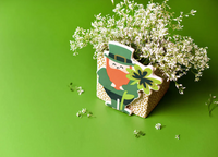 Mini Leprechaun Attachment by Happy Everything-Lemons and Limes Boutique