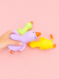 Lucky Duck Squishy