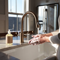 Argan Oil Liquid Hand Wash in Brown Sugar Vanilla-Lemons and Limes Boutique