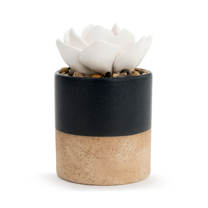 Succulent Oil Diffuser - Navy-Lemons and Limes Boutique