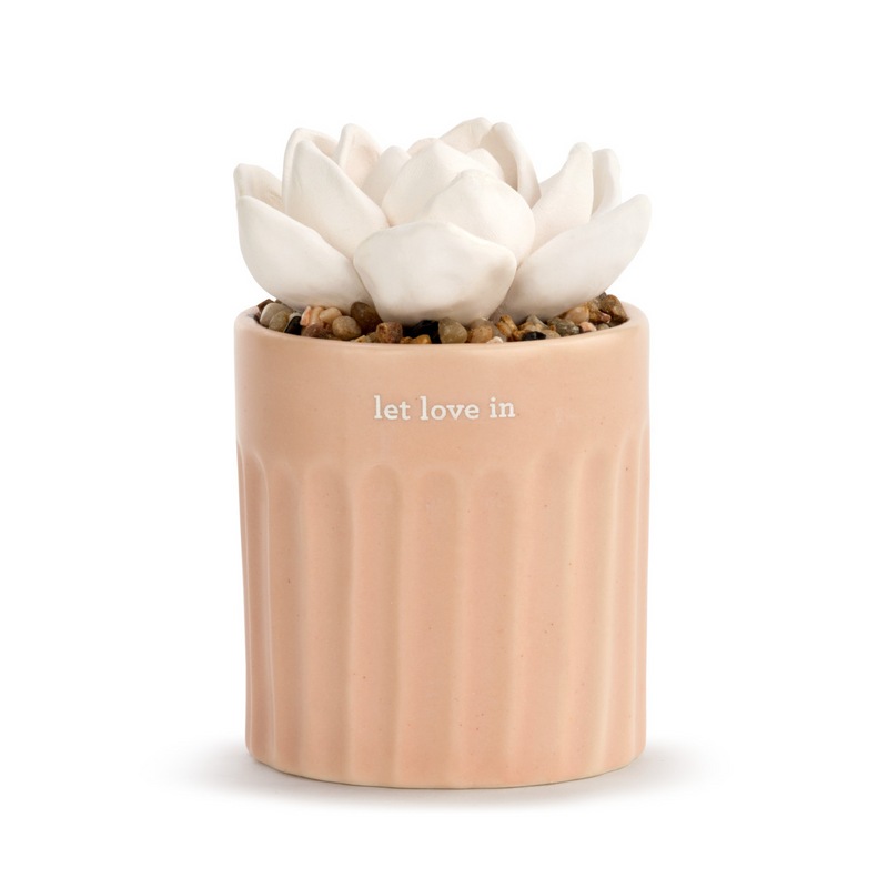 Succulent Oil Diffuser - Love--Lemons and Limes Boutique