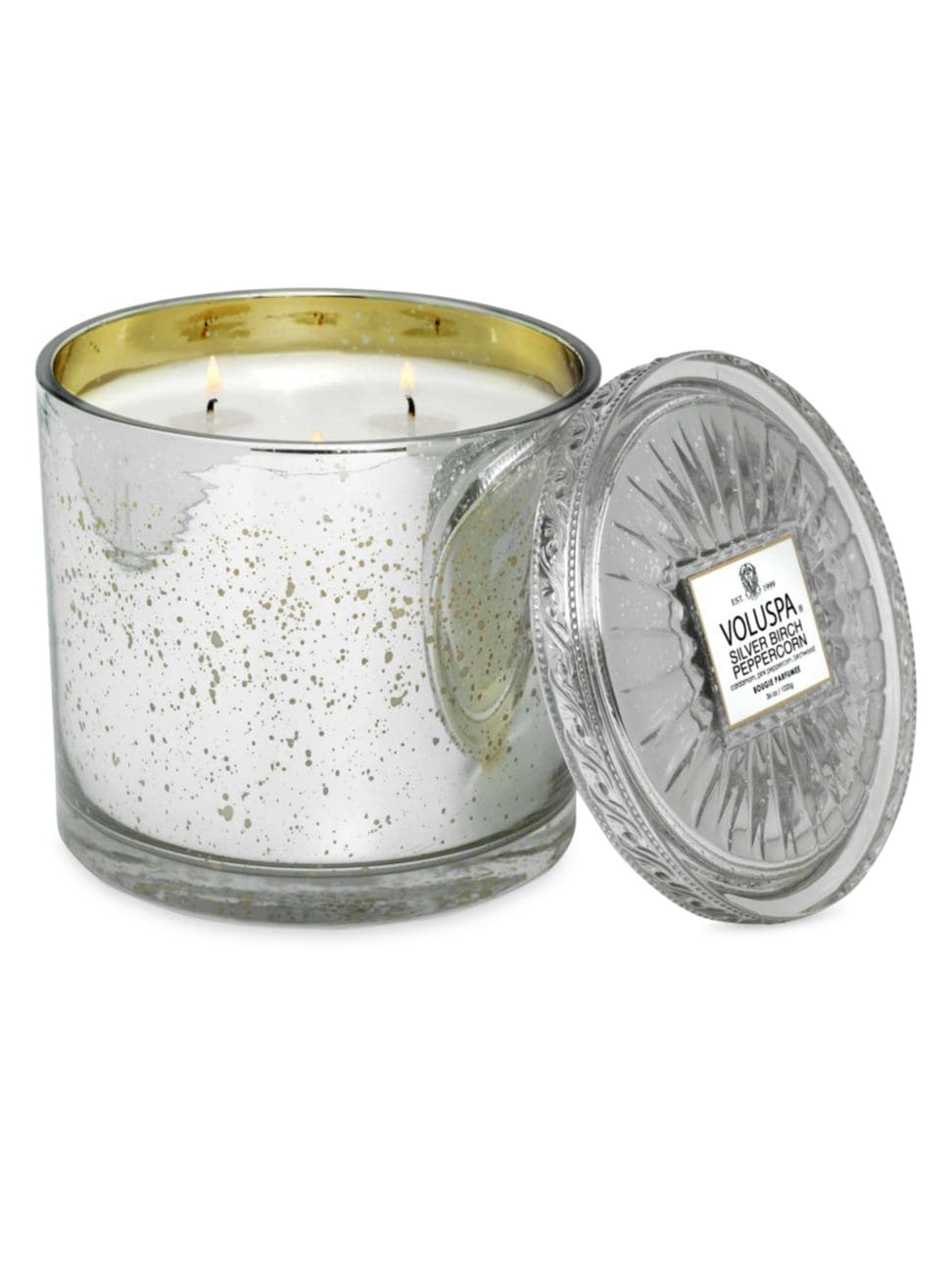 Silver Birch Grande Maison 3 Wick Candle Voluspa-Lemons and Limes Boutique
