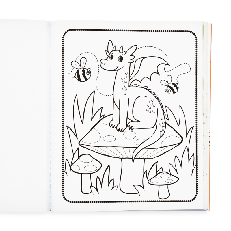 Knights and Dragons Coloring Book--Lemons and Limes Boutique