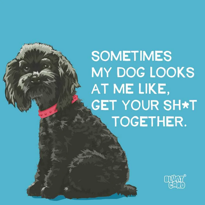 Sometimes My Dog Beverage Napkin-Lemons and Limes Boutique