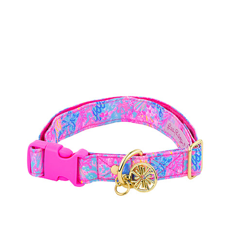 Dog Collar in Splendor in the Sand M/L by Lilly Pulitzer-Lemons and Limes Boutique