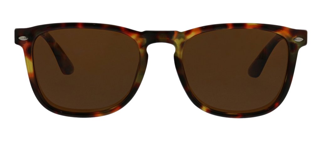 Peepers- Simply Sun in Tortoise-Eyewear-Lemons and Limes Boutique