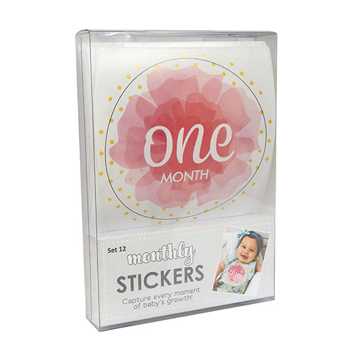 Monthly Sticker Set - Girl--Lemons and Limes Boutique
