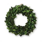 Medium Preserved Boxwood Wreath-Accessories-Lemons and Limes Boutique