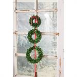 Small Preserved Boxwood Wreath-Accessories-Lemons and Limes Boutique