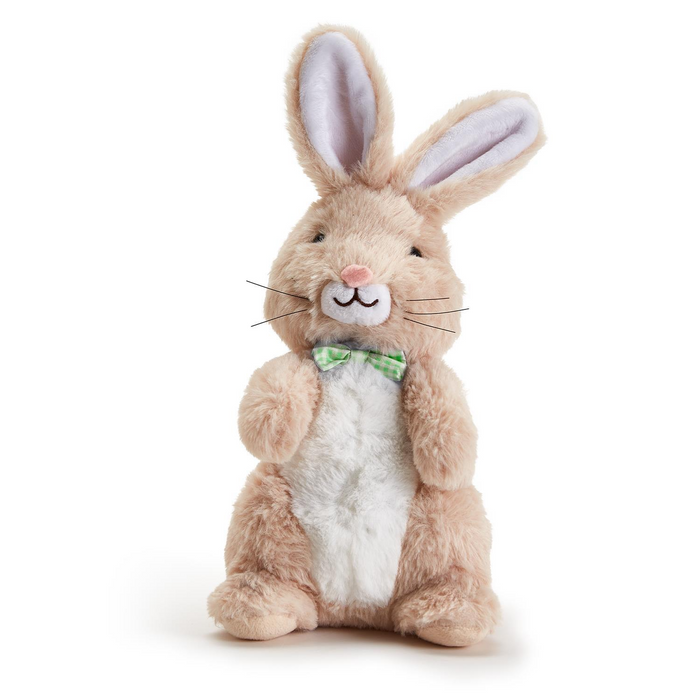 Cottontail Bunny with Recording Function--Lemons and Limes Boutique