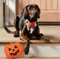 Pumpkin Pet Bandana & Toy Set-Pet-Lemons and Limes Boutique