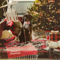 Feliz Naughty Dog Bandana and Toy Set-Lemons and Limes Boutique