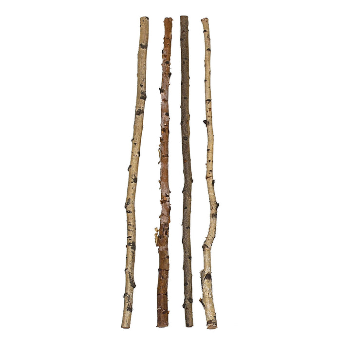 Birch Branch, Natural Color-Lemons and Limes Boutique
