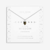 Affirmation Crystal A Little 'Widsom' Necklace-Lemons and Limes Boutique