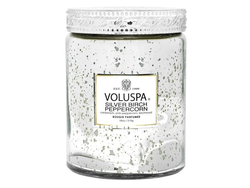Silver Birch 18oz Large Jar Speckle Voluspa-Lemons and Limes Boutique