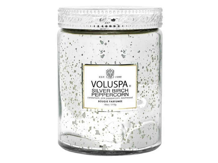 Silver Birch 18oz Large Jar Speckle Voluspa-Lemons and Limes Boutique